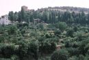 View of Al Hambra, Granada